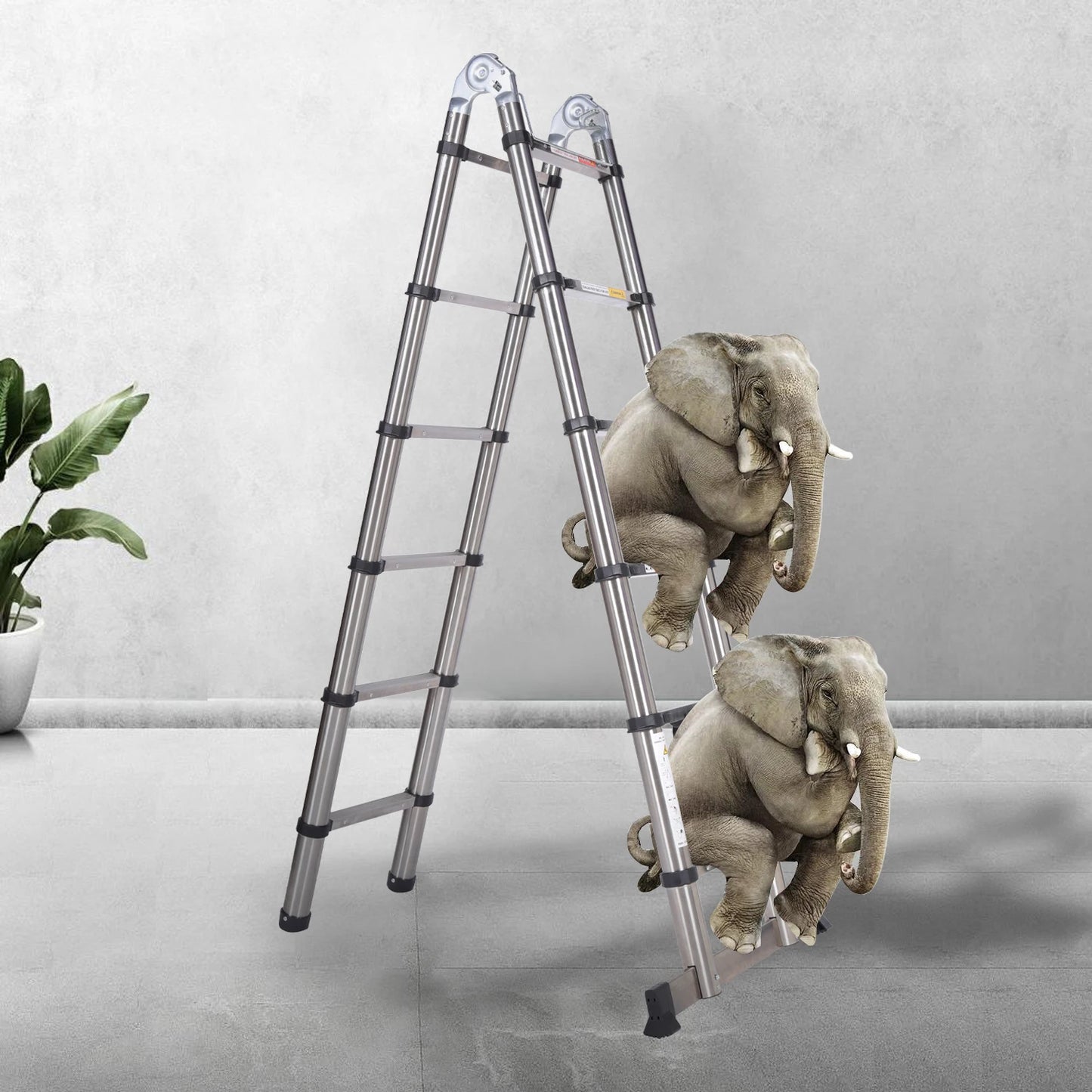 Échelle Télescopique DayPlus en Acier Inoxydable - Pliable et Portable - Capacité 150kg- Certifiée EN131